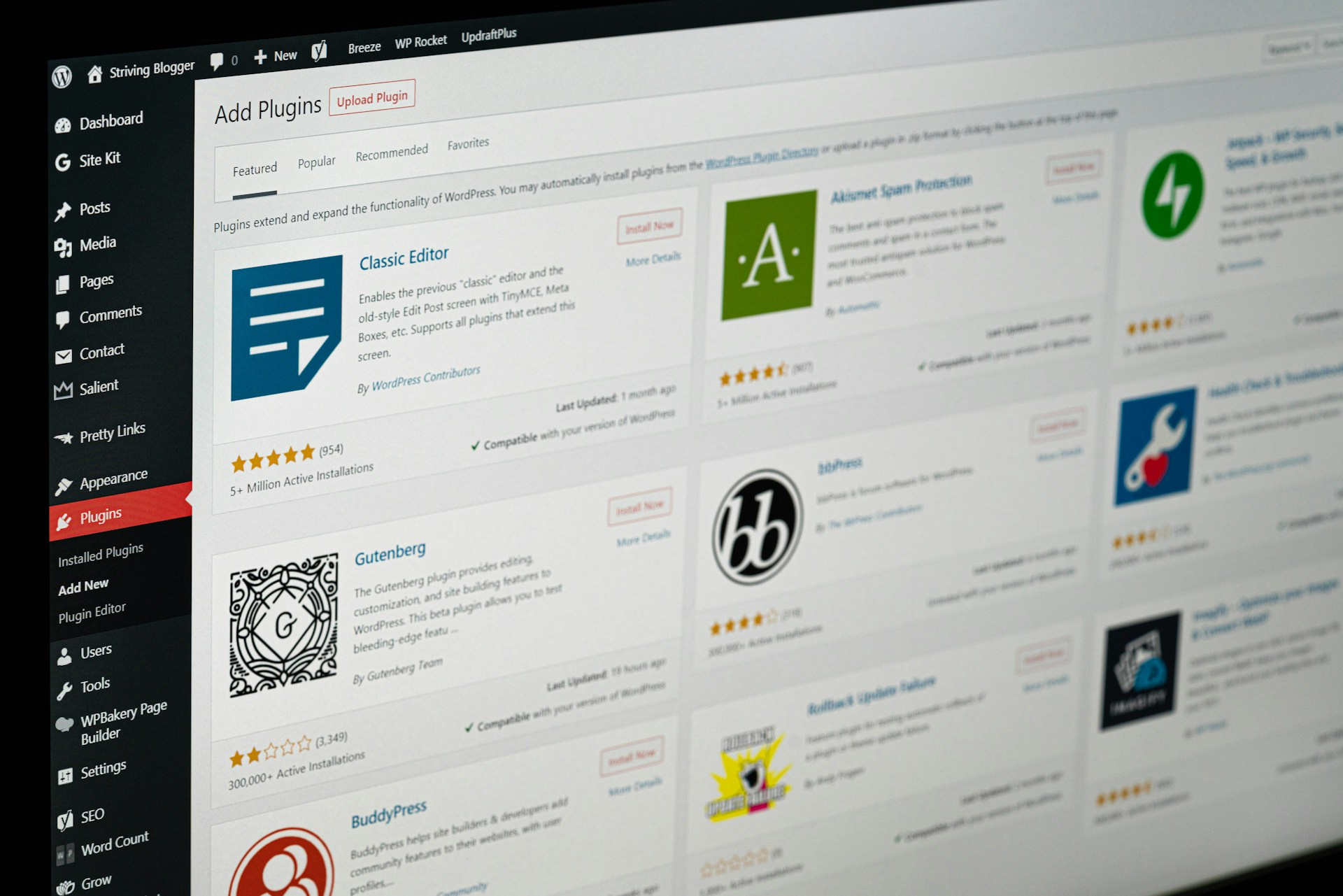 Wordpress preview